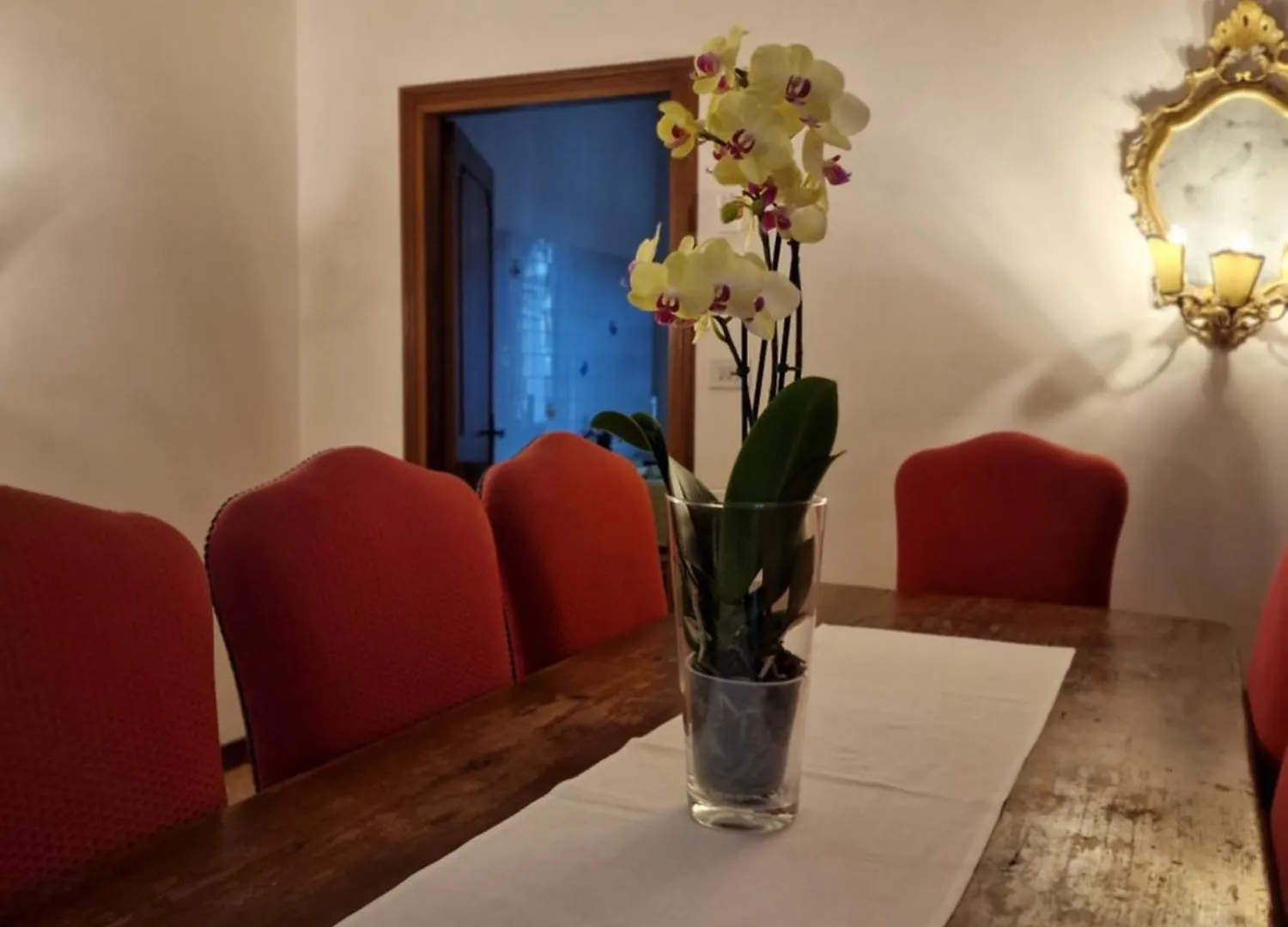 Apartment Ca Barbaro With Altana-Appartamenti Storici- Venice